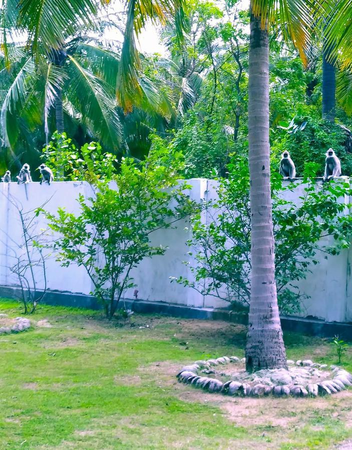 Pearl Oceanic Resort - Trincomalee Ngoại thất bức ảnh